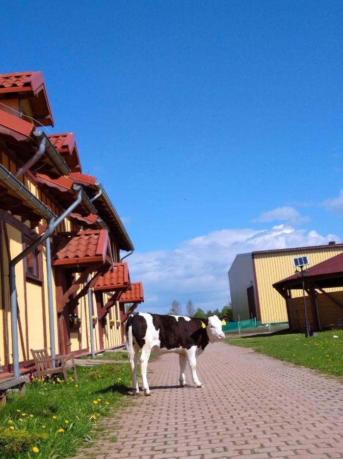Pensjonat Przy Stajni Kierzkowo  ภายนอก รูปภาพ
