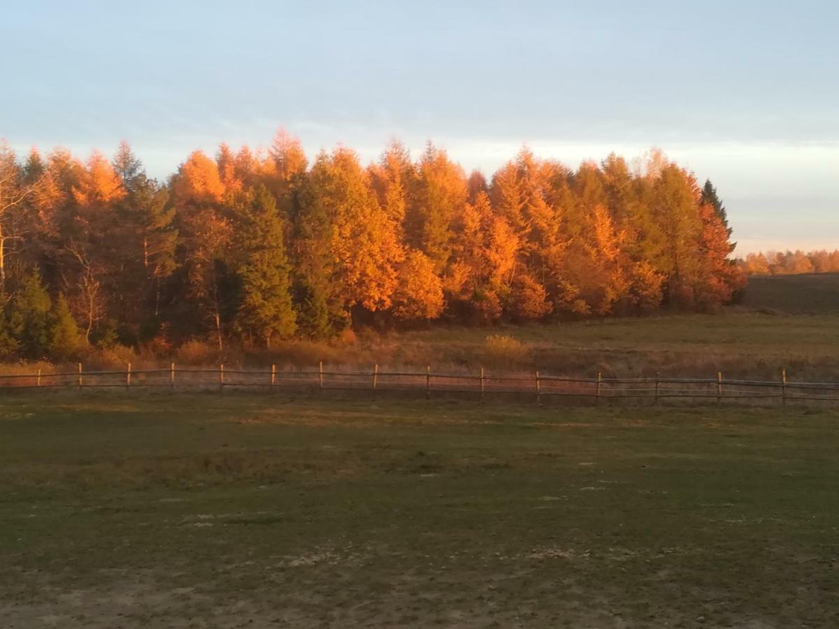 Pensjonat Przy Stajni Kierzkowo  ภายนอก รูปภาพ
